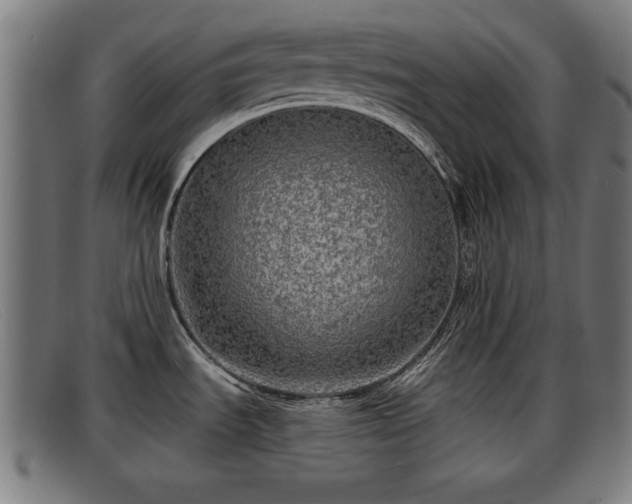 X0000091851535200709121301