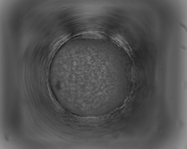 X0000091850001200709191106