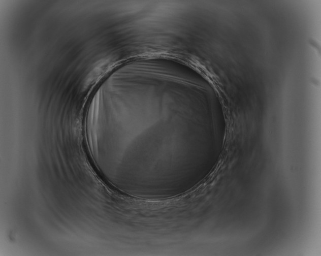 X0000091850002200709191105