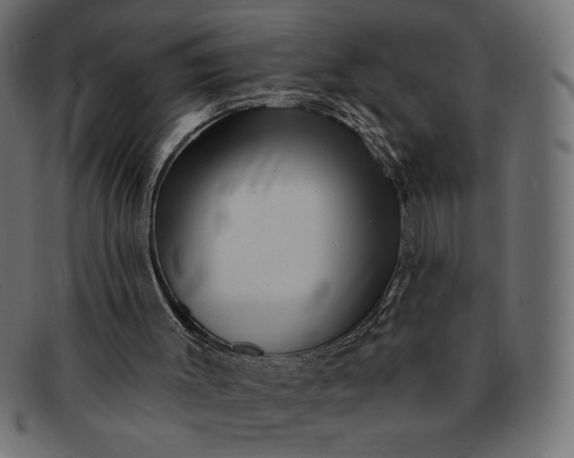 X0000091850003200709191105