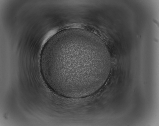 X0000091850006200709191105