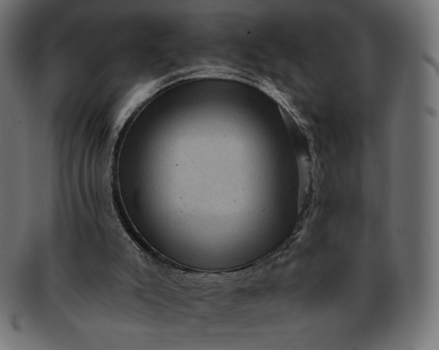 X0000091850007200709191105