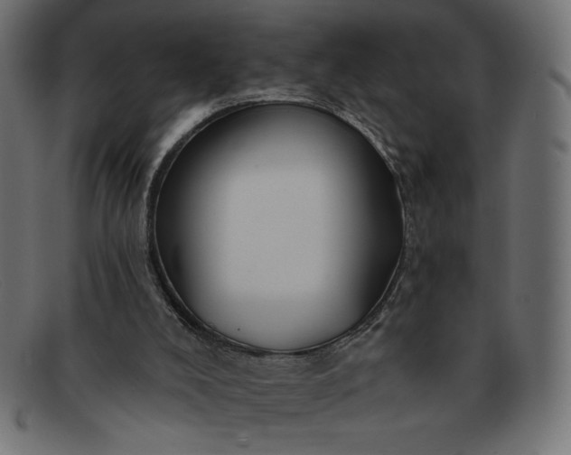 X0000091850008200709191105