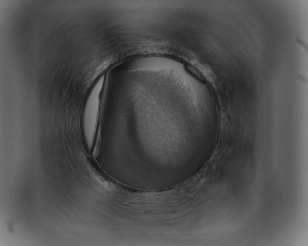 X0000091850009200709191105