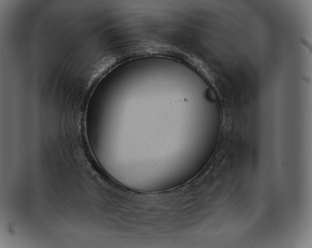 X0000091850010200709191105