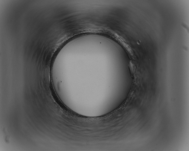 X0000091850011200709191105