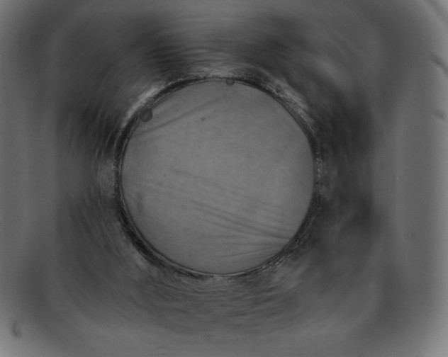 X0000091850012200709191105