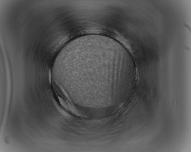 X0000091850013200709191105