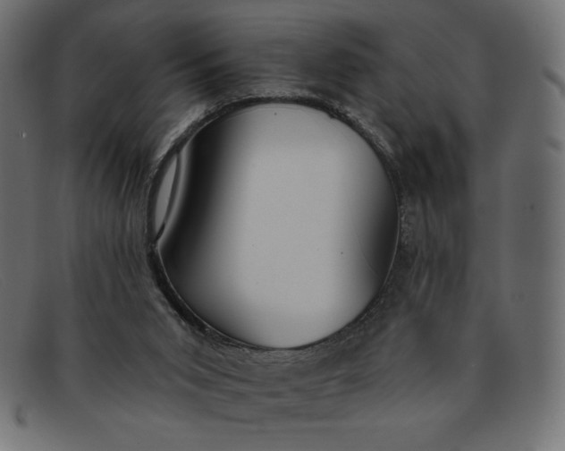 X0000091850015200709191105