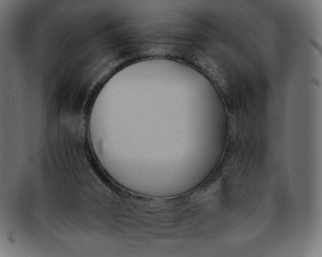 X0000091850016200709191105