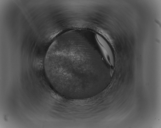 X0000091850017200709191105