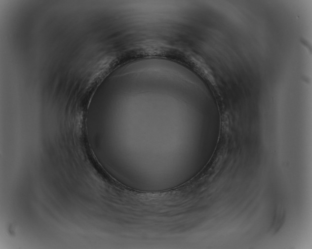 X0000091850018200709191105