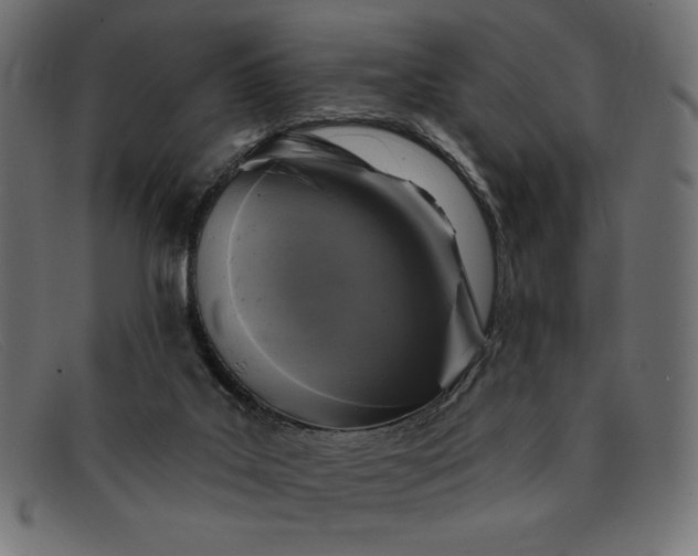 X0000091850019200709191105