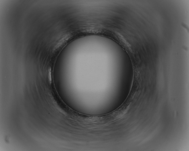 X0000091850020200709191105