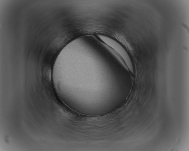 X0000091850021200709191105