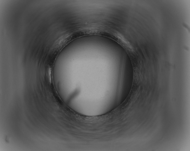 X0000091850022200709191105