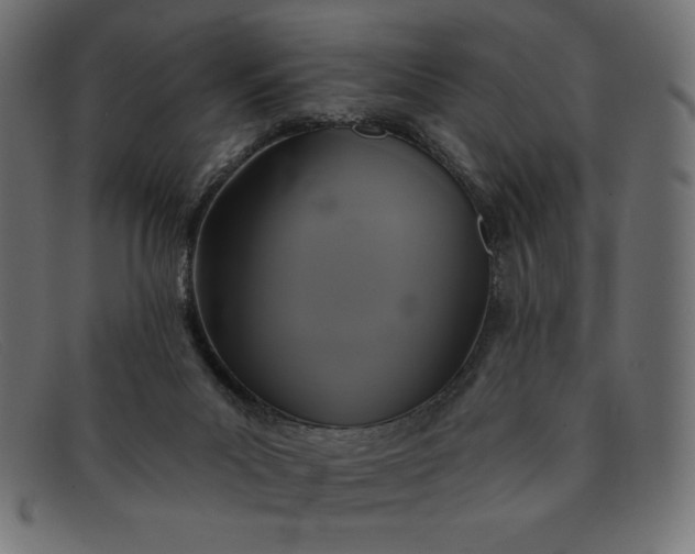 X0000091850023200709191105