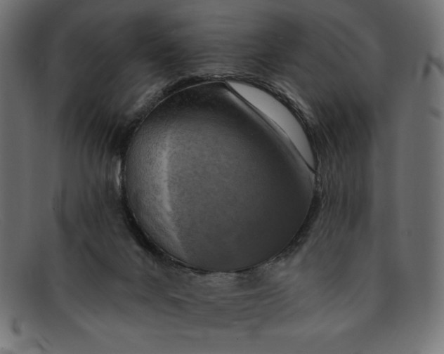 X0000091850024200709191105