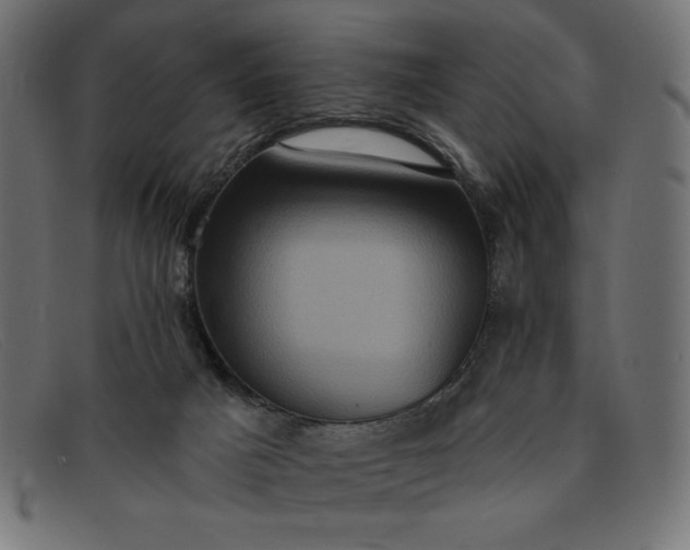 X0000091850025200709191105