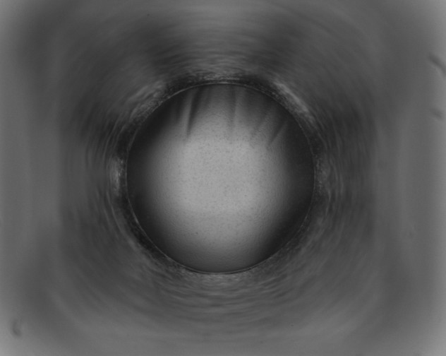 X0000091850026200709191105