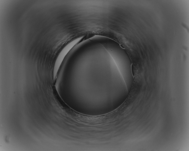 X0000091850027200709191105