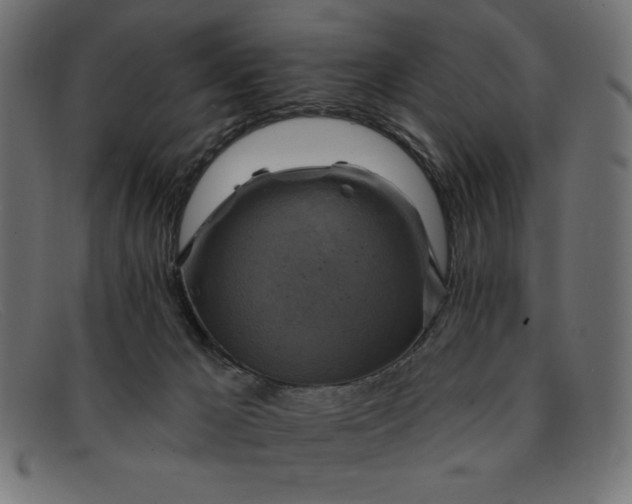 X0000091850029200709191105