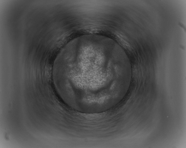 X0000091850030200709191105