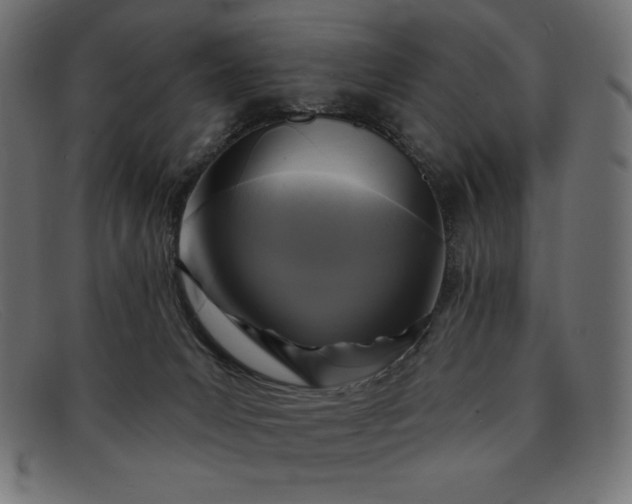 X0000091850031200709191105