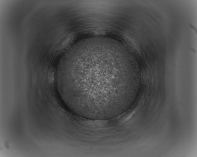 X0000091850032200709191105