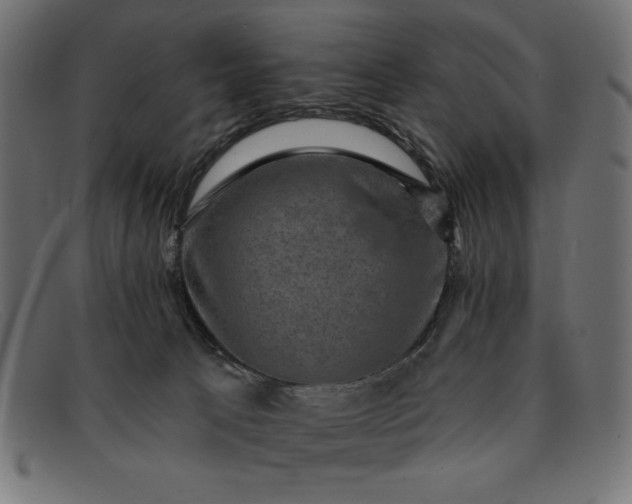 X0000091850033200709191105