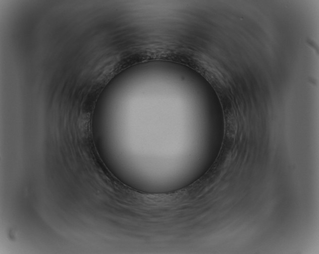 X0000091850034200709191105