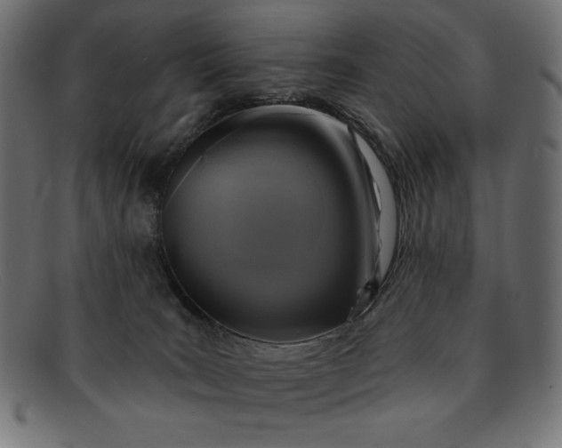 X0000091850035200709191105