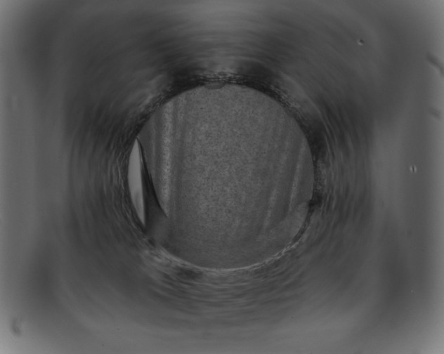 X0000091850037200709191105