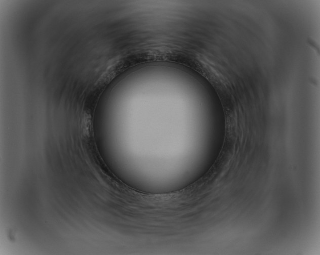 X0000091850038200709191105