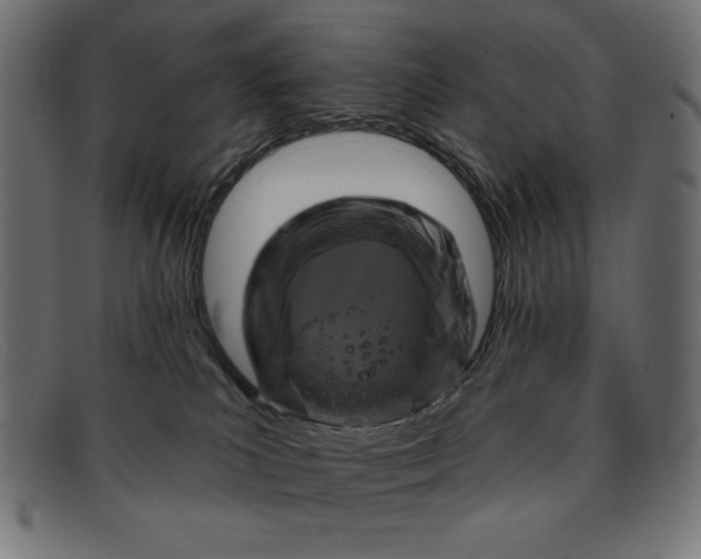 X0000091850039200709191105