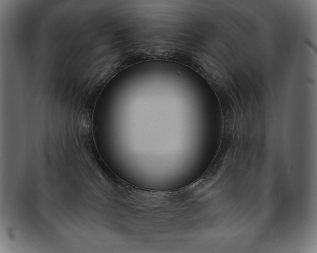 X0000091850040200709191105