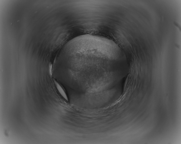 X0000091850041200709191105