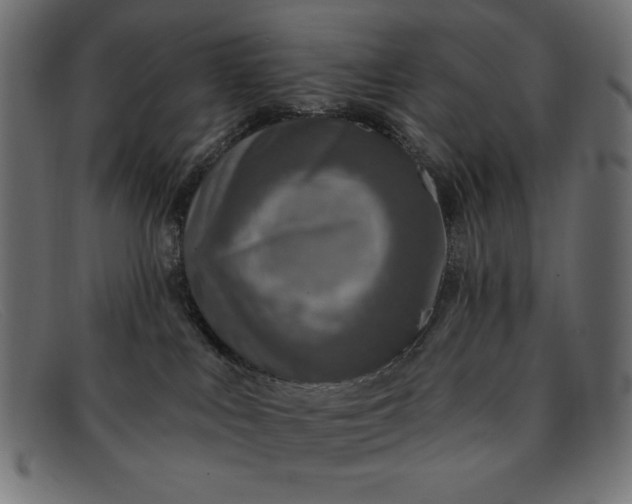 X0000091850043200709191105