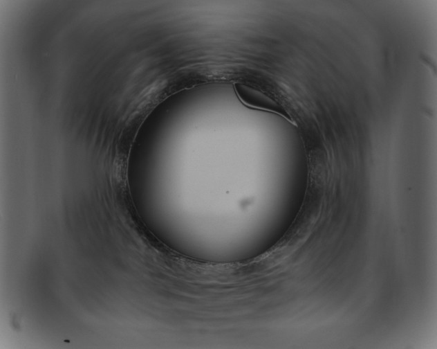 X0000091850044200709191105