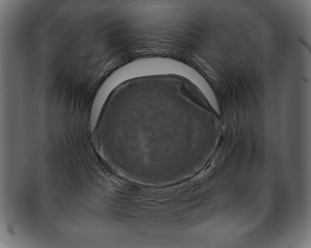 X0000091850045200709191105