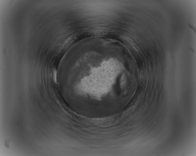 X0000091850046200709191105