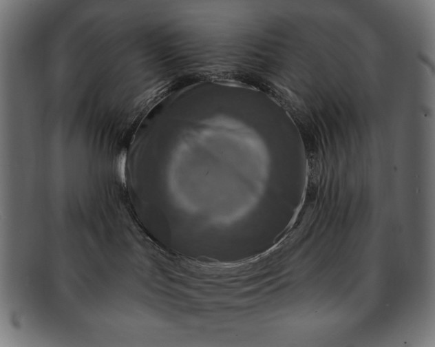 X0000091850047200709191105