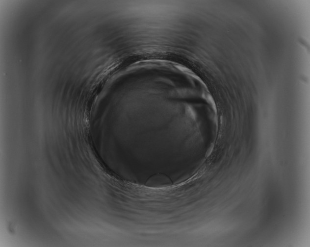 X0000091850048200709191105