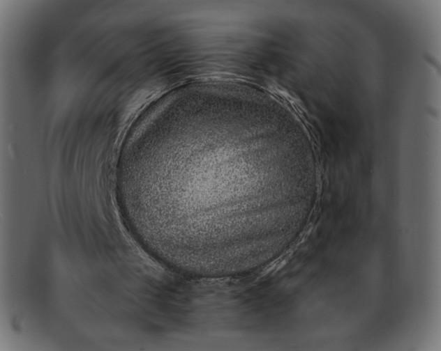 X0000091850049200709191104