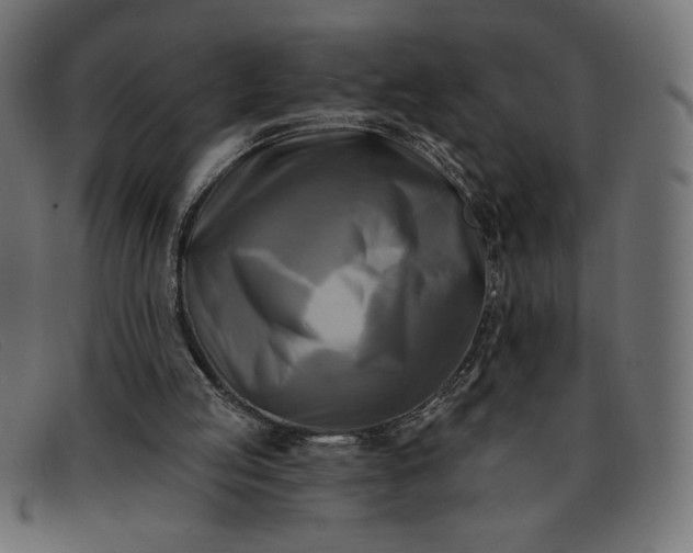 X0000091850053200709191104