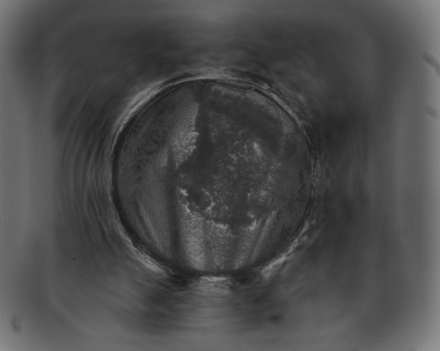 X0000091850055200709191104