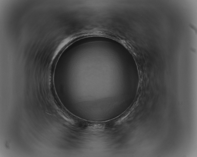 X0000091850056200709191104