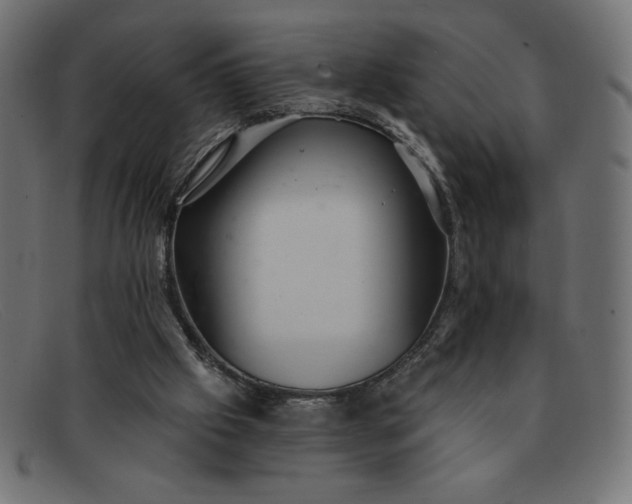 X0000091850057200709191104