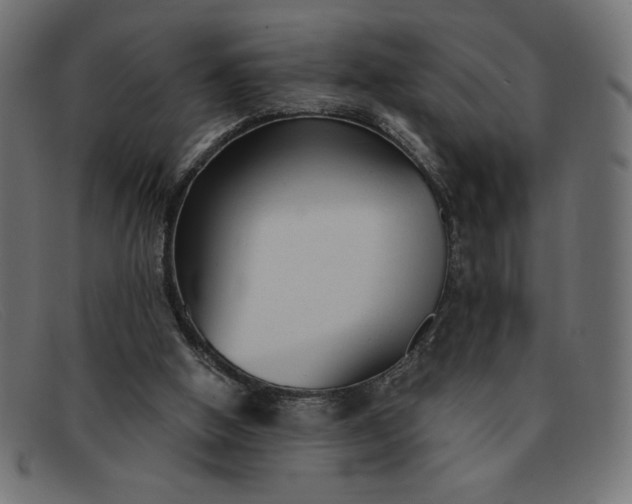 X0000091850058200709191104