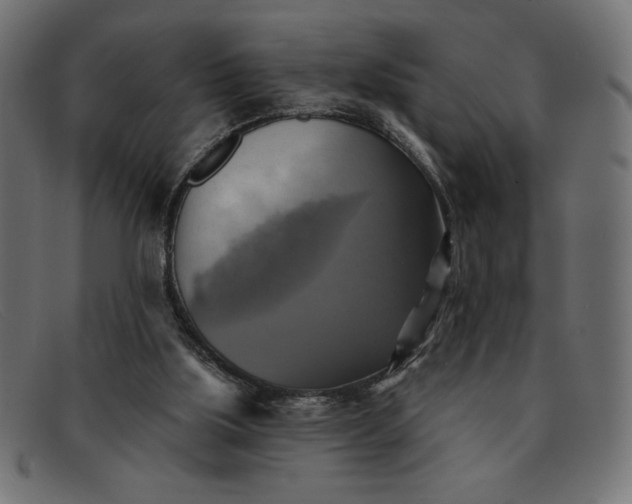 X0000091850059200709191104